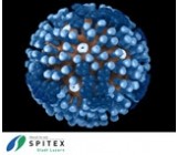Wichtig Erreger in der Spitex-Pflege - Influenza-Viren - rissip Onlinetraining